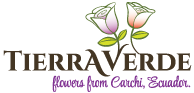 Tierra Verde Floricola Logo